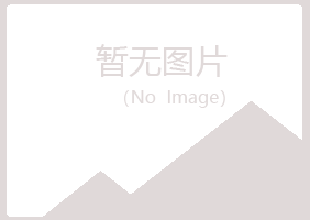 黄山黄山飞槐能源有限公司